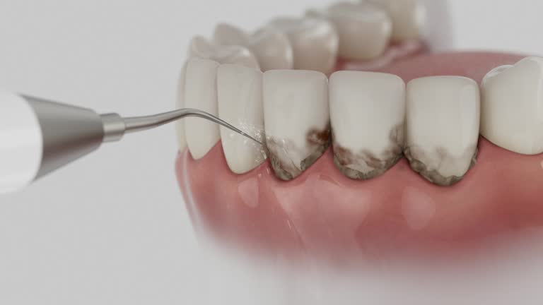 Reliable Dental contractor in National Harbor, MD by Dentist Open Now